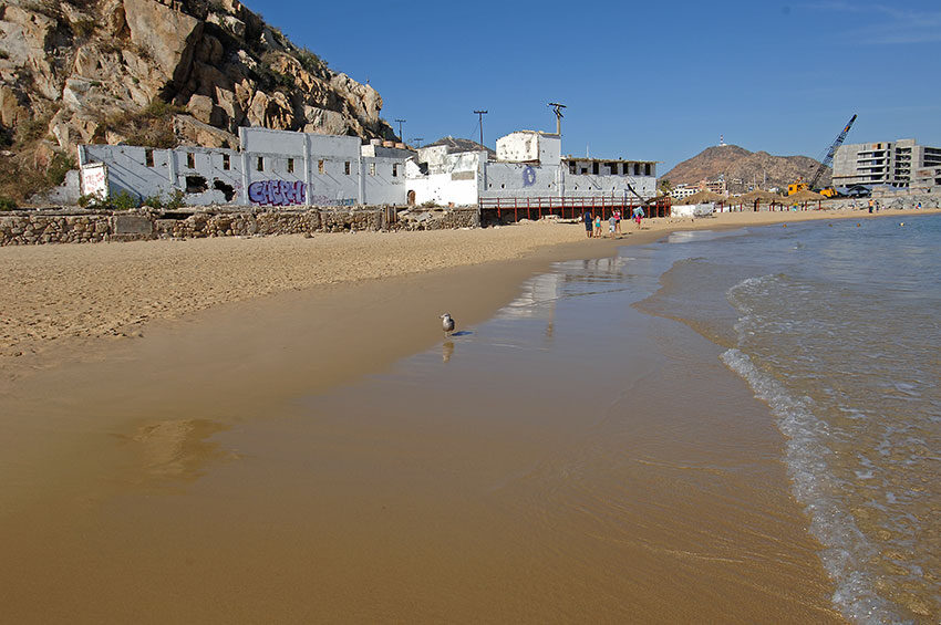 Cannery Beach (Empacadora)
